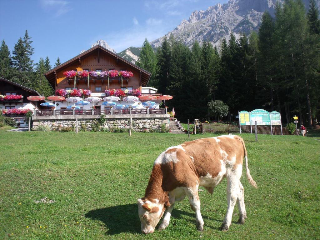 Gasthof Edelbrunn Hotel Ramsau am Dachstein Exterior foto